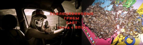 экстази Алексин