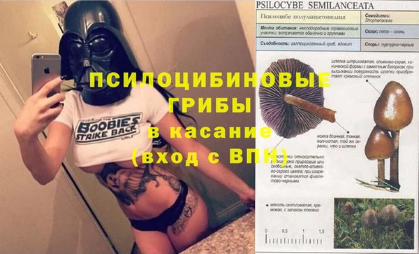 ПСИЛОЦИБИНОВЫЕ ГРИБЫ Алексеевка