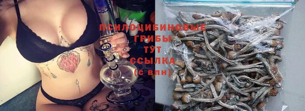 экстази Алексин