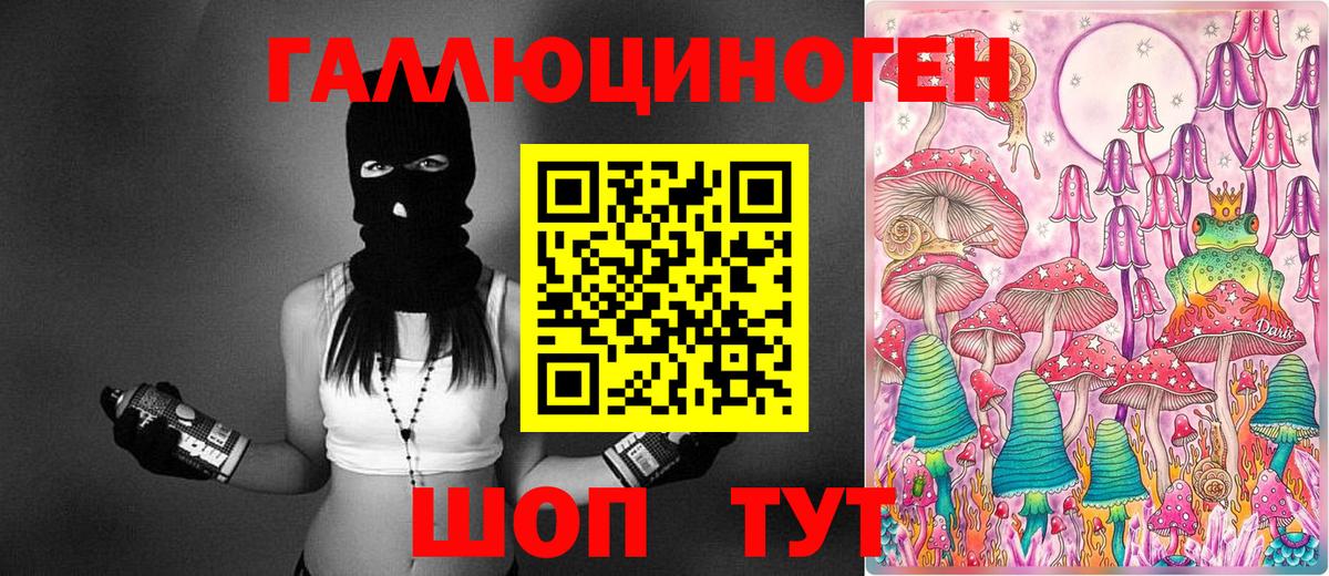 Псилоцибиновые грибы прущие грибы Амурск