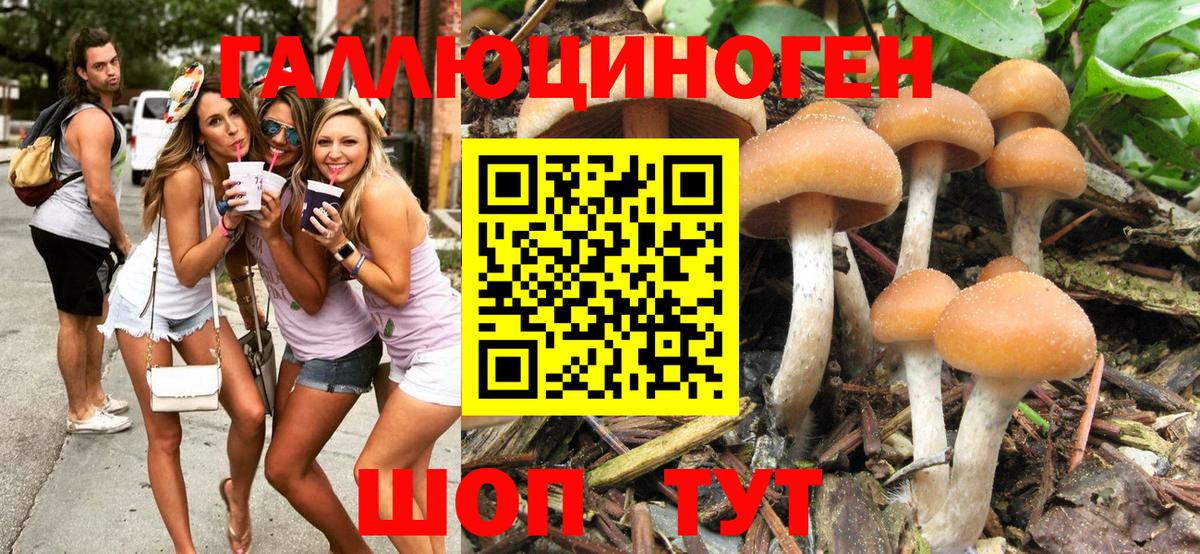 Амурск  Галлюциногенные грибы Psilocybe  сколько стоит  Вход с VPN 